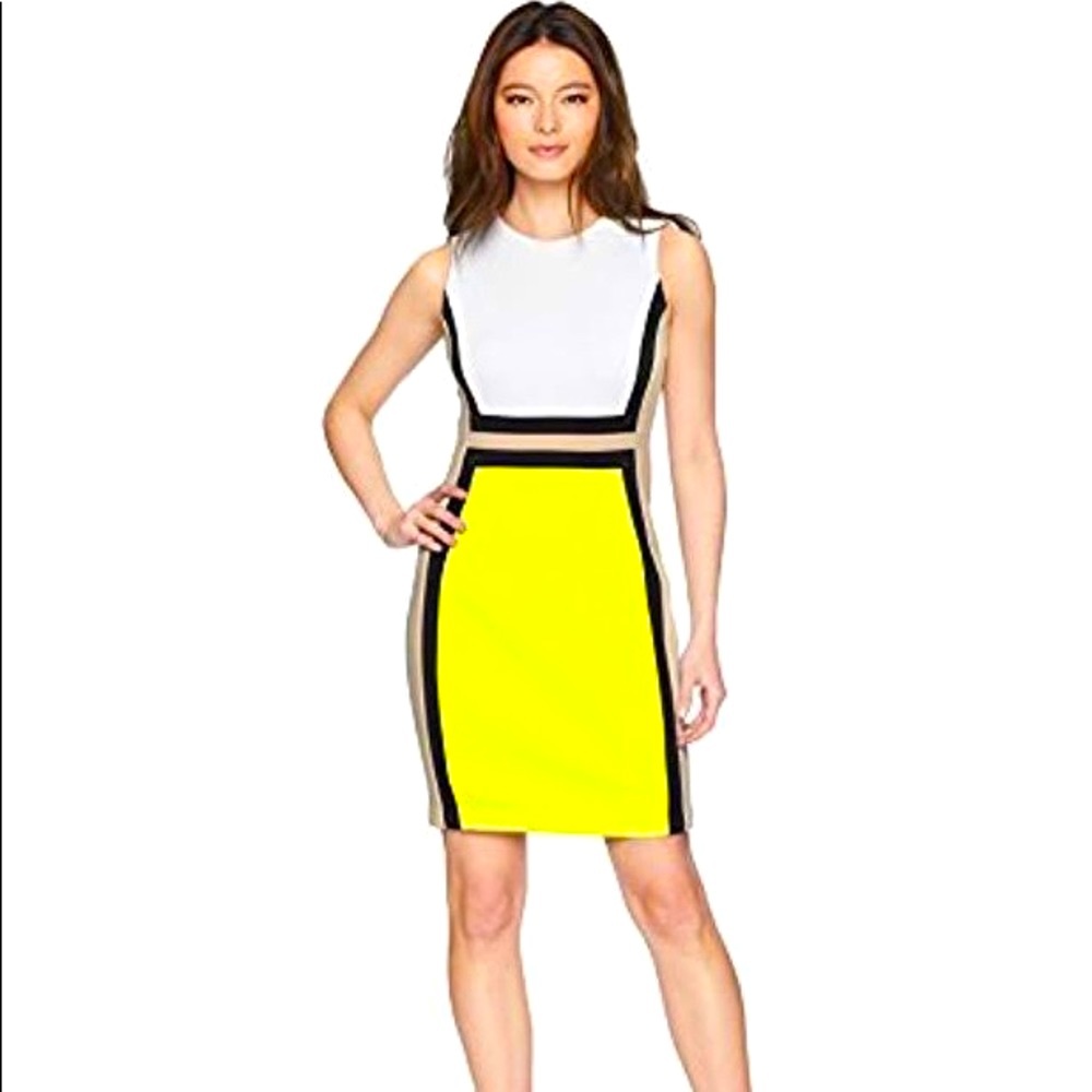 Calvin Klein Color Block Sheath Dress